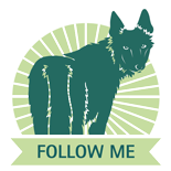 Hundeschule Follow Me